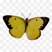 �����-������