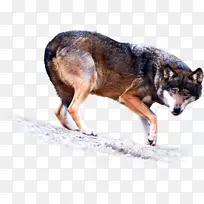 ÍÁÀǹ··±Ö³±Ç×Ó¼ÐÒÕÊõÈ®-¿ÕÈôÍø ÍÁÀǹ··±Ö³±Ç×Ó¼ÐÒÕÊõÈ®-¿ÕÈôÍø