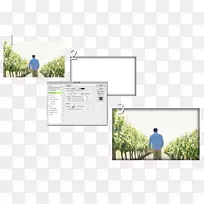 Ʒ����-���ⲽ��-������