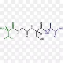 ëļüÒ¶ÂÌÌåëĺϳɻ·ëÄ-ÒȸßѪÌÇËØÑùëÄ2-¿ÕÈôÍø ëļüÒ¶ÂÌÌåëĺϳɻ·ëÄ-ÒȸßѪÌÇËØÑùëÄ2-¿ÕÈôÍø