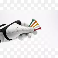 �˶����׸߶����������˶��߶���������-������