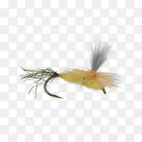 ÈËÔì²ÔÓ¬-¿ÕÈôÍø ÈËÔì²ÔÓ¬-¿ÕÈôÍø