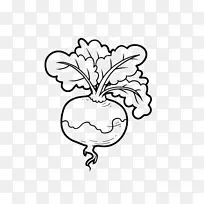 素食菜系萝卜素描蔬菜着色书-蔬菜-空若网 素食菜系萝卜素描蔬菜着色书-蔬菜-空若网