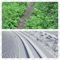 土壤乔木草沥青科-冬季夏季-空若网 土壤乔木草沥青科-冬季夏季-空若网