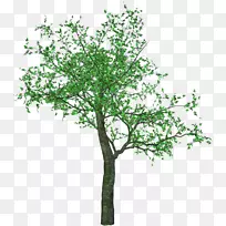 ӣ������-������-������