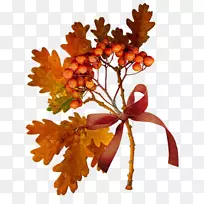 秋季博客日记生活互联网-秋天-空若网 秋季博客日记生活互联网-秋天-空若网