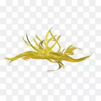 黄色壁纸-橙色草-空若网 黄色壁纸-橙色草-空若网