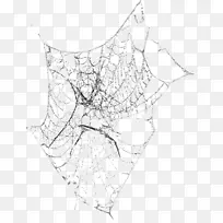 黑白蜘蛛线艺术对称图案黑白蜘蛛网蜘蛛-空若网 黑白蜘蛛线艺术对称图案黑白蜘蛛网蜘蛛-空若网