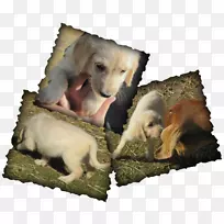 Ȯ�ֱ���Ұ��Ȯ-������