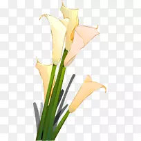 ������Ƽ�����-������-������