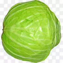 ��ײ˲˻��߲���ֲ-�ײ�PNG-������