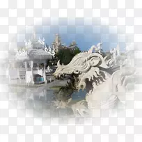 桌面壁纸摄影计算机树-计算机-空若网 桌面壁纸摄影计算机树-计算机-空若网