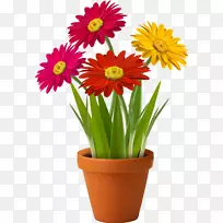 ���軨ƿ������-��-������