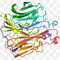 �ߵ������������-������