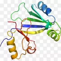 人体珠宝线有机体剪贴画线-空若网 人体珠宝线有机体剪贴画线-空若网