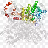 树线剪贴画-树-空若网 树线剪贴画-树-空若网
