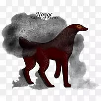 狗鼻子,毛皮,狗科,-狗-空若网 狗鼻子,毛皮,狗科,-狗-空若网