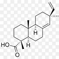 ������������֬�ữѧ������.�����ṹ-������