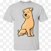 t����ñ������t��-������