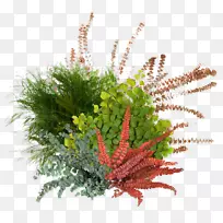 水泥油毡树脂地板花园-大气植物-空若网 水泥油毡树脂地板花园-大气植物-空若网