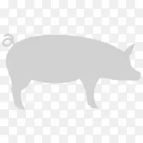 猪鼻子白色野生动物字体-猪-空若网 猪鼻子白色野生动物字体-猪-空若网