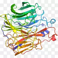 �ߵ������������-������