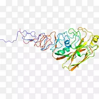 线点剪贴画-线-空若网 线点剪贴画-线-空若网