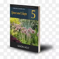 草坪花园牛膝草属植物-空若网 草坪花园牛膝草属植物-空若网