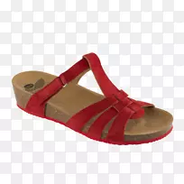 ����Ь-������