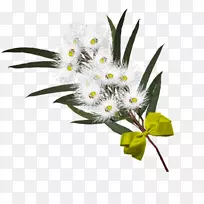 花卉设计花束剪贴画-花-空若网 花卉设计花束剪贴画-花-空若网