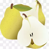 梨载体-载体梨果实-空若网 梨载体-载体梨果实-空若网