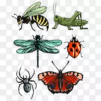 ���������������.��ͨ����-������