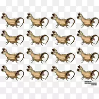 公鸡尾巴野生动物食肉动物拇指吸盘-空若网 公鸡尾巴野生动物食肉动物拇指吸盘-空若网