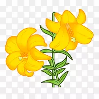 �ٺϻ����ͼ������-��-������