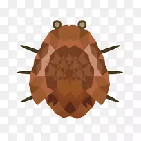 昆虫.奇异昆虫载体材料-空若网 昆虫.奇异昆虫载体材料-空若网