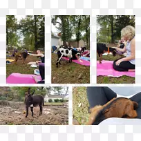 ������-������