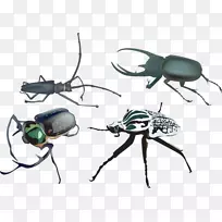 �׳����˰��ͼ.��ͨ�������-������