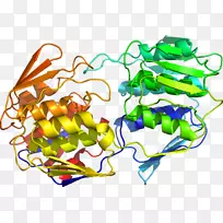 艺术植物有机体线剪贴画-蔬菜-空若网 艺术植物有机体线剪贴画-蔬菜-空若网