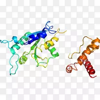 �ߵ������������-������