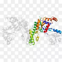 艺术身体珠宝系列剪贴画珠宝首饰-空若网 艺术身体珠宝系列剪贴画珠宝首饰-空若网