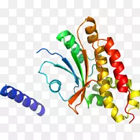 人体珠宝有机体线条剪贴画.珠宝-空若网 人体珠宝有机体线条剪贴画.珠宝-空若网