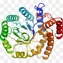 人体行为有机体珠宝剪贴画珠宝首饰-空若网 人体行为有机体珠宝剪贴画珠宝首饰-空若网