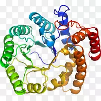 人体行为人体珠宝剪贴画珠宝首饰-空若网 人体行为人体珠宝剪贴画珠宝首饰-空若网