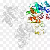 ʳ����������-��-������