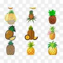 菠萝-新鲜菠萝-空若网 菠萝-新鲜菠萝-空若网