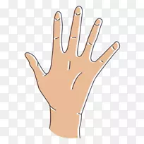 Ĵָ����-������