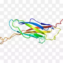 �ߵ������-��-������