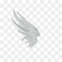 渲染翅膀白色天使-黑色天使-空若网 渲染翅膀白色天使-黑色天使-空若网