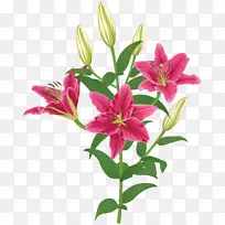 �ٺ�Ů�ٺϿƻ���-�ٺϻ�͸��������-������