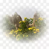 景观桌面壁纸博客-景观-空若网 景观桌面壁纸博客-景观-空若网